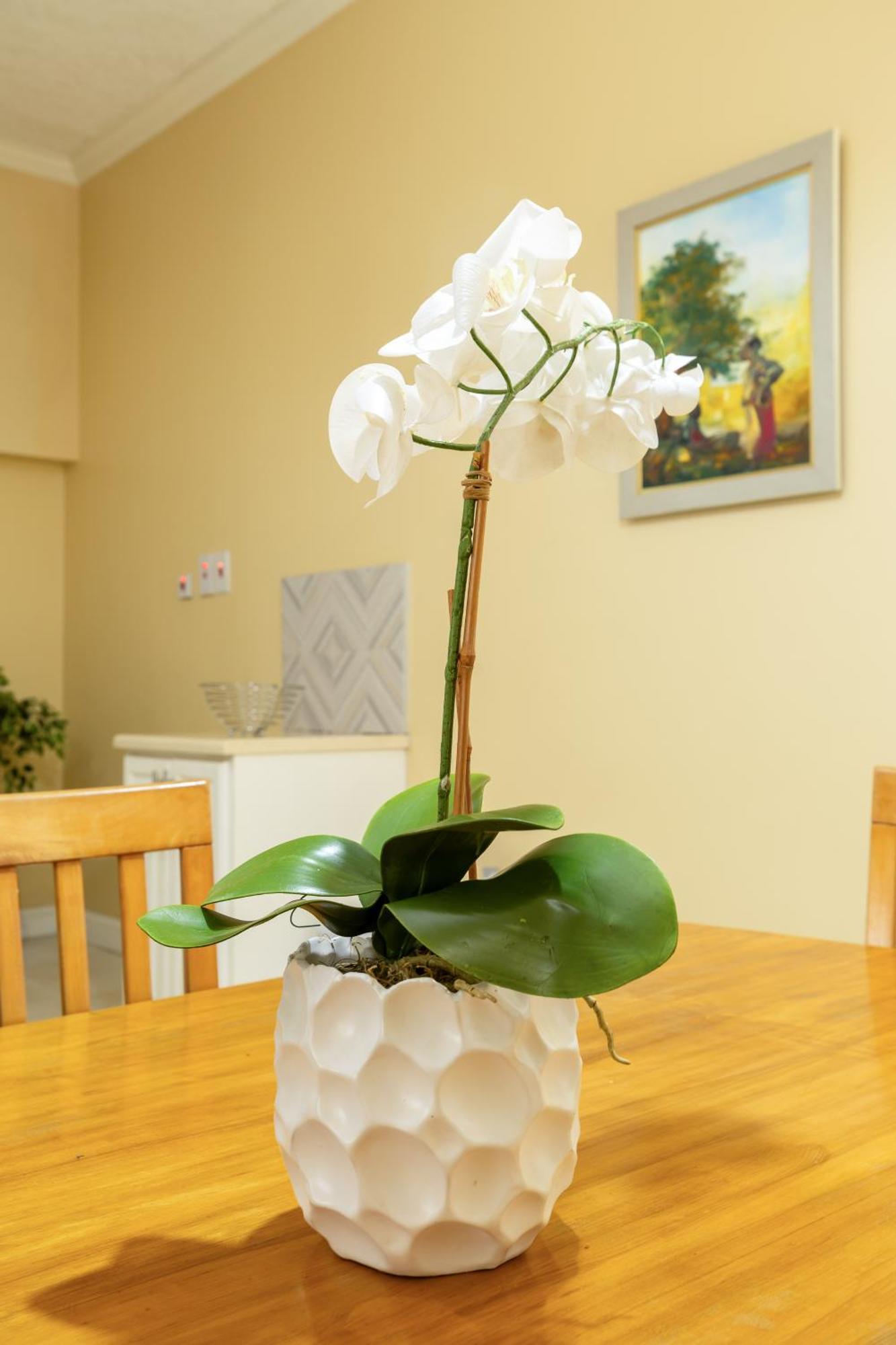 קינגסטון Choose To Be Happy At The Westbury - Two Bedroom Apartment מראה חיצוני תמונה